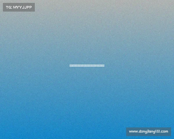 西甲赛事全攻略：从球队阵容到观赛技巧的一站式指南